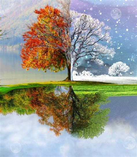 Change of Seasons by Holicia | Inspirational digital art, Tree painting ...