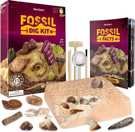 Amazon.com: Mega Fossil Dig Kit - Educational STEM Science Toys for Kids Ages 4-12 Year Old ...