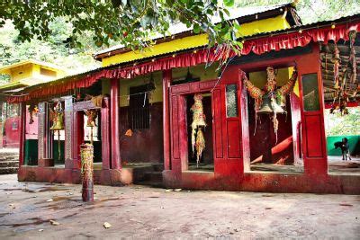 Pathivara Temple (Dharan) FAQs In 2025