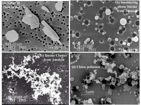 Scanning electron microscope image of ambient air aerosols (courtesy ...