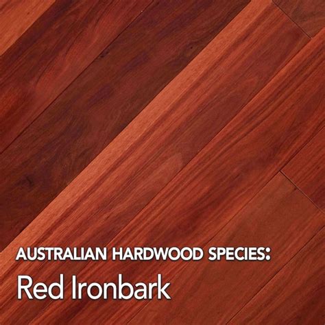 Solid Red Ironbark Hardwood Flooring 130mm x 19mm - Mr Timber Flooring