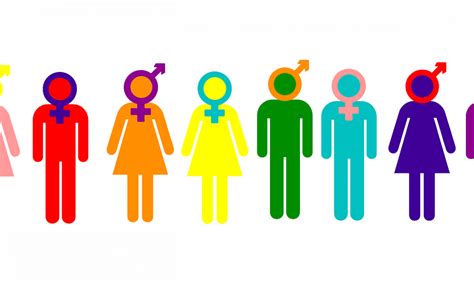 What is Gender Diversity? | Vision Psychology Brisbane