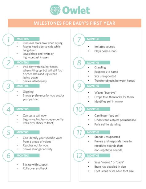 Milestones For Baby's First Year | Owlet