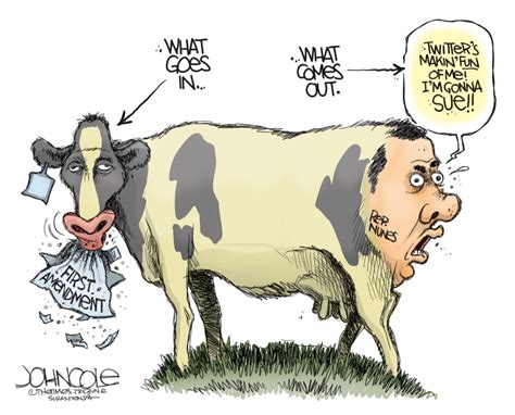 Devin Nunes Cow