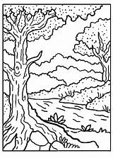 Forest Coloring Pages sketch template