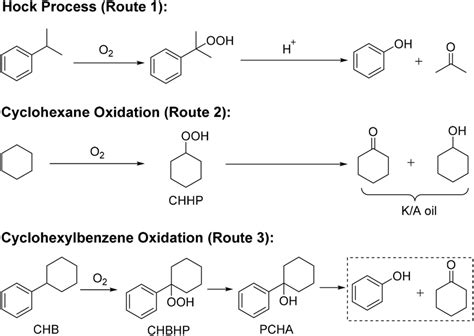 Cumene process to produce phenol (Route 1), cyclohexane oxidation to... | Download Scientific ...