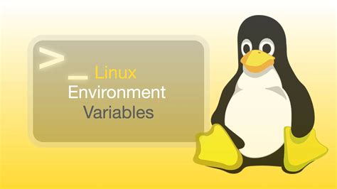 Linux Environment - Coding Ninjas