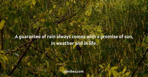 100+ Best Rain Quotes to Brighten a Rainy Day - QsVibes