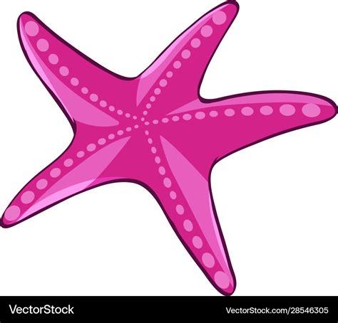 Pink starfish on white background Royalty Free Vector Image