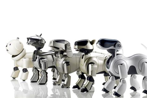 Sony Bringing Back Aibo Team to Develop New Robot Dog - IEEE Spectrum