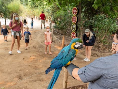 Santa Ana Zoo animals welcome back the humans – Orange County Register