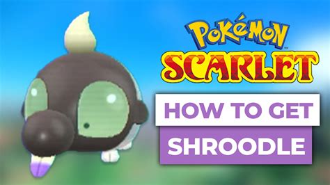 How To Get Shroodle In Pokemon Scarlet & Violet (The Easy Way)