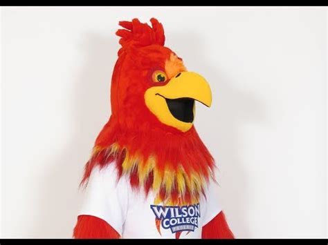 Phoenix Mascot Costume | Mascot Makers - Custom mascots and characters