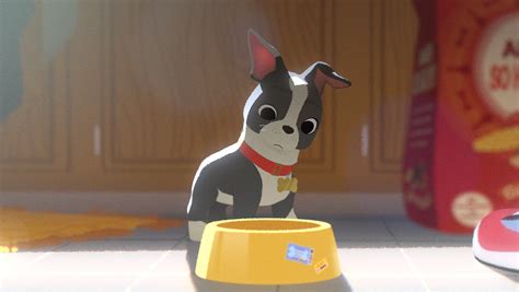 Watch: The real dog stars behind Disney's 'Feast'