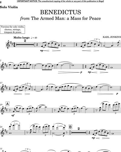 Benedictus (from "The Armed Man") Sheet Music by Karl Jenkins | nkoda