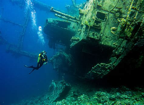 Diving the Red Sea in Aqaba with Deep Blue Dive Center • The Blonde Abroad