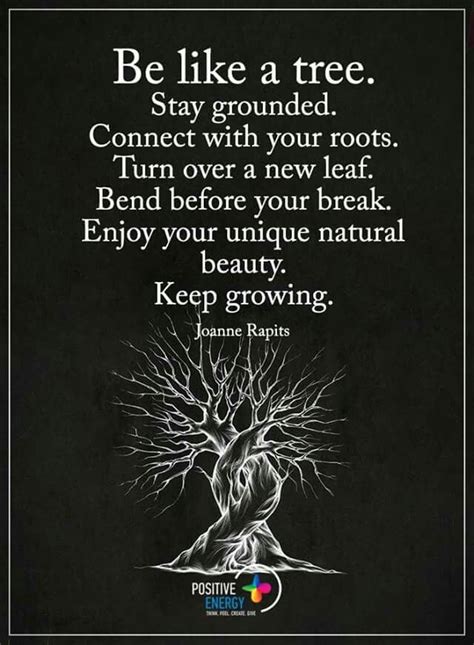 ♥♥ Be like a tree: *Stay grounded. *Connect with your roots. *Turn over ...