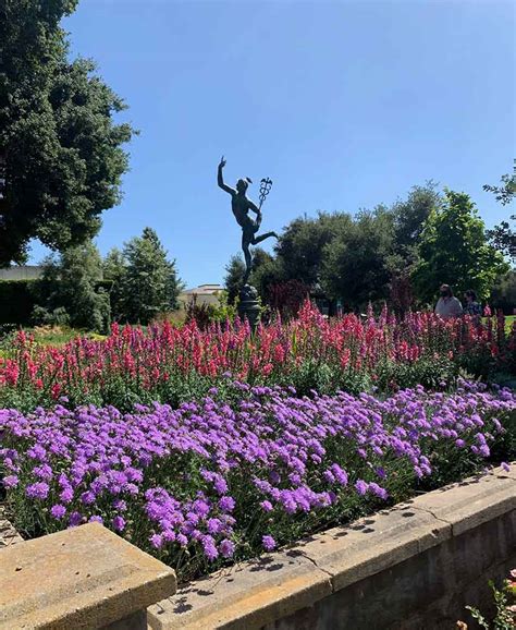 Enjoy Endless Views, Natural Beauty at the Huntington Gardens in Pasadena - Rose Colored Glasses