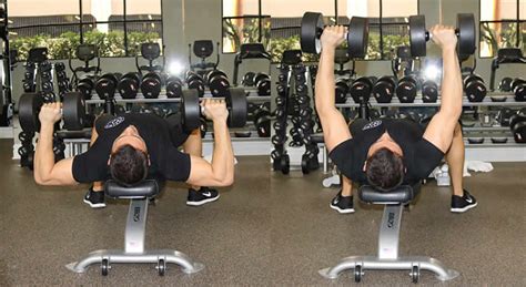 Flat Dumbbell Press - The Optimal You | Online Personal Training ...