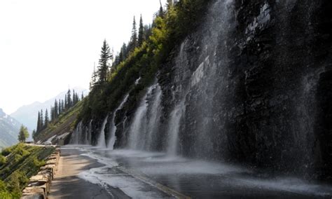 Weeping Wall, Glacier National Park - AllTrips