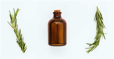 14 Benefits and Uses of Rosemary Essential Oil