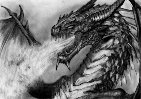 Fire Breathing Dragon. Drawing by Louis Wood | Saatchi Art