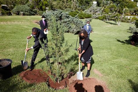 Bermuda cedar planted in memory of Covid-19 dead - The Royal Gazette | Bermuda News, Business ...