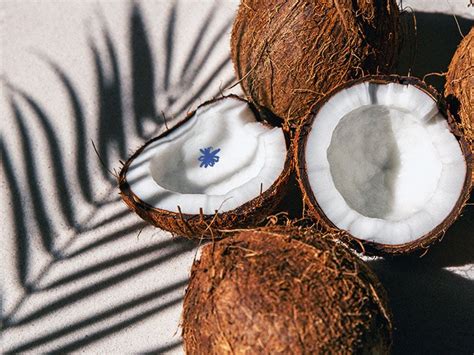 Coconut oil for dry eyes: Effectiveness, safety, and more