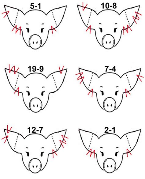 Ear Notch Pig Chart