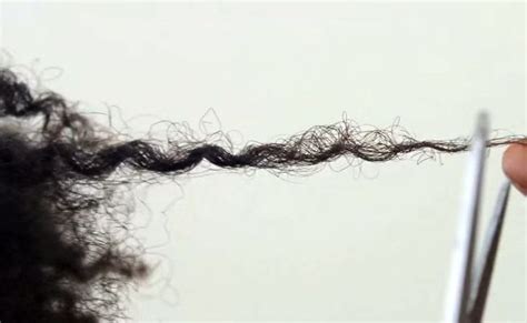 What Do Split Ends Look Like On Natural Hair