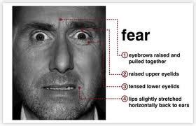 Descriptive Faces--A Resource for Writers: Facial Expressions--Fear