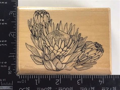 Pin on Flower & Botanical Stamps