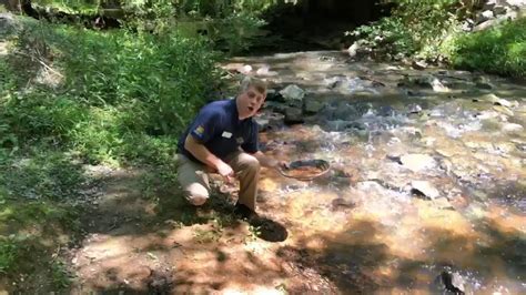 Reed Gold Mine: Panning History - YouTube