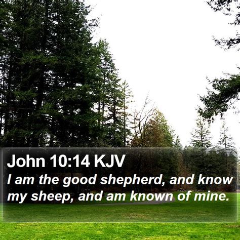 John 10:14 KJV Bible Verse Images