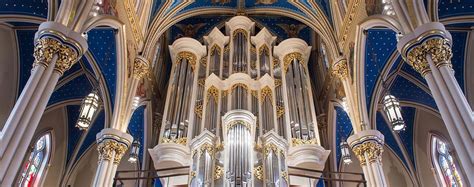 Murdy Family Organ by the Numbers | Basilica Organ | Special Features | Notre Dame Magazine ...