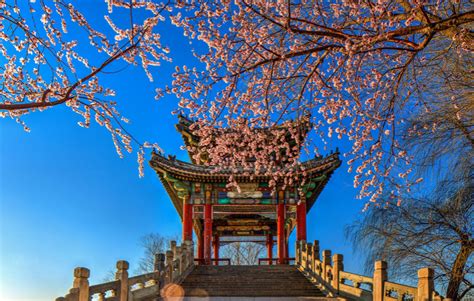 Magnificent Chinese Garden Art in The Summer Palace, Beijing, China ...