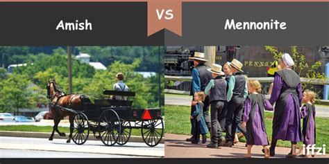 Amish vs. Mennonite – Diffzi