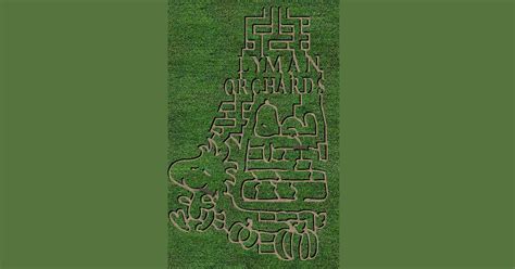 lyman orchards 2024 corn maze_preview | Finding Connecticut