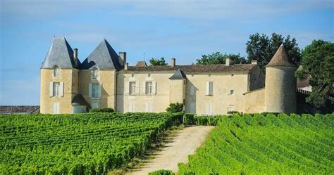 What Is Sauternes Wine and How Does It Taste? | WineLoverMagazine