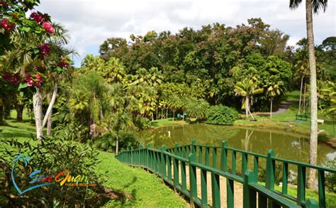 Jardin Botanico de Puerto Rico / San Juan Botanical Garden