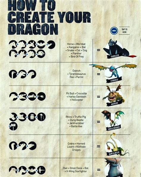 How to Create Your Own Dragon Character