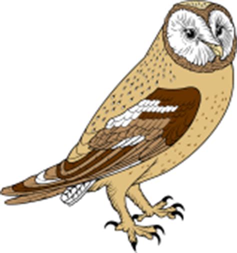 Download Barred Owl clipart for free - Designlooter 2020 👨‍🎨