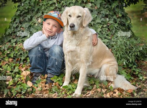 Little boy with a golden retriever Stock Photo - Alamy