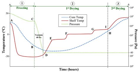 Changes of temperature and pressure during freeze drying process 2.4 ...