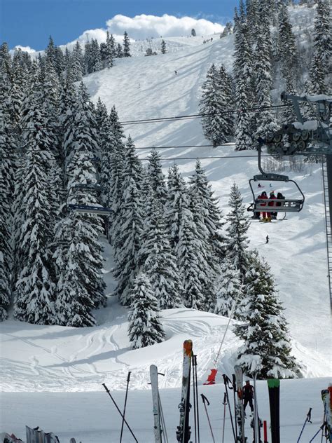 Skiing the tree lined pistes of Flaine in the Grand Massif (France) | Skiing resorts, Skiing ...