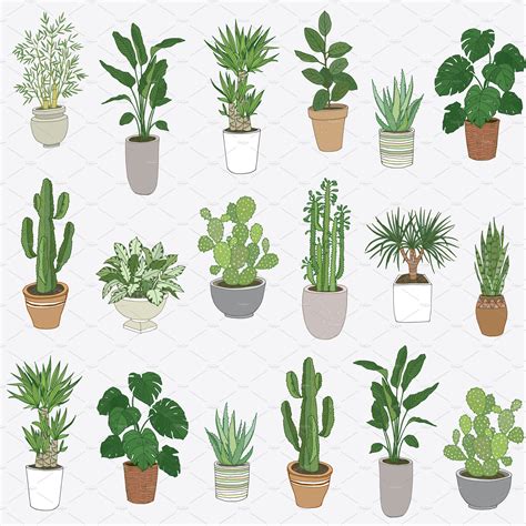 Indoor Plants | Plant painting, Plant art, Plants