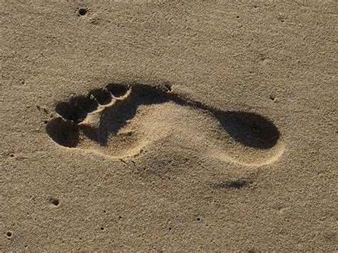 Free Images : rock, footprint, feet, wall, soil, human, material, footprints, barefoot, tracks ...