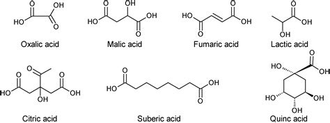 Molecules | Free Full-Text | Arbutus unedo L.: Chemical and Biological Properties