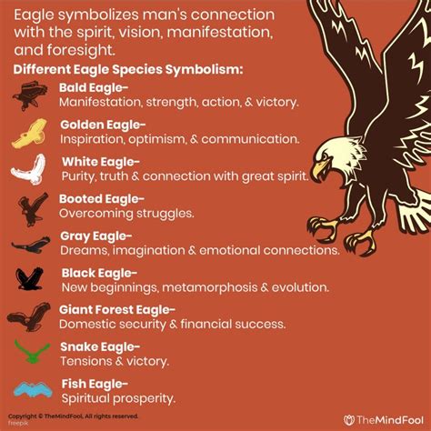 Eagle Meaning and Symbolism: A Comprehensive Guide | TheMindFool