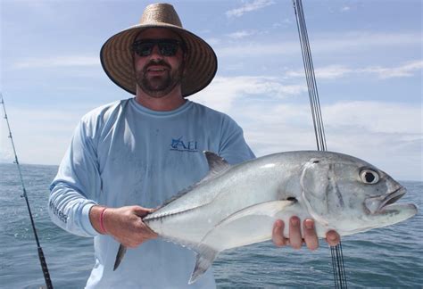 Types of Trevally: All You Need to Know